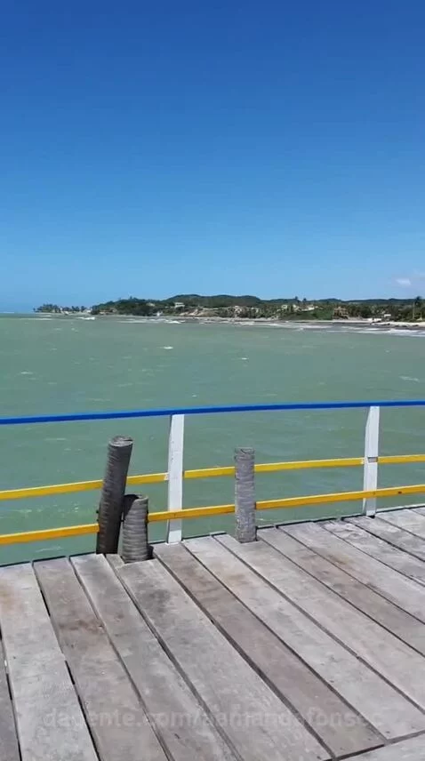Prévia da publicação de aamandafonsec