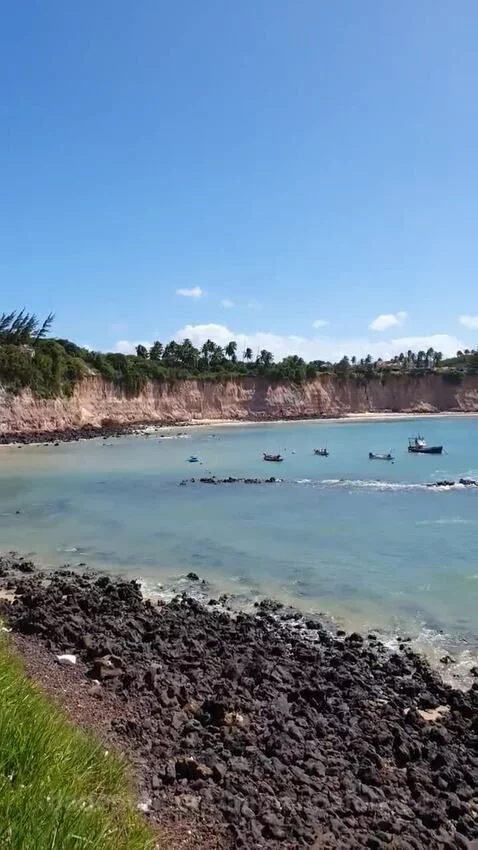Prévia da publicação de aamandafonsec