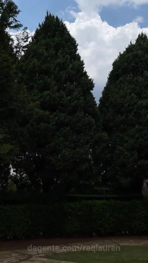 views, view, sp by raqlauren