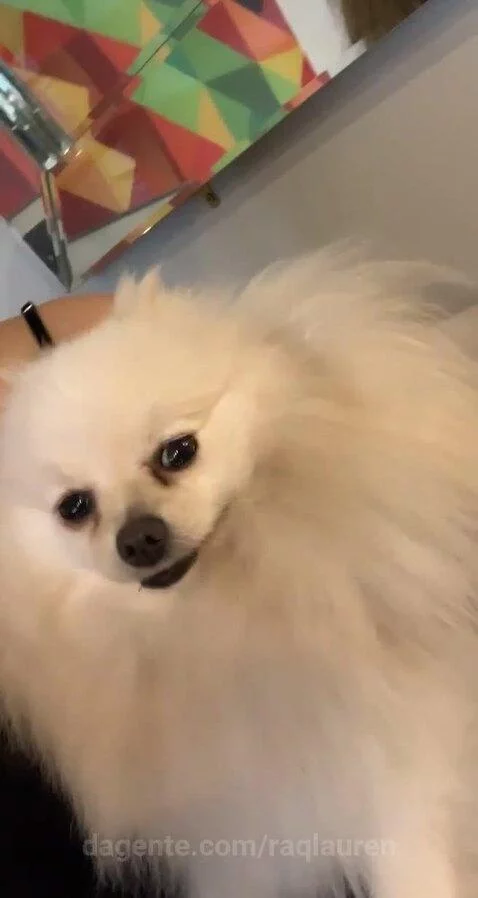 view, views, sp by raqlauren