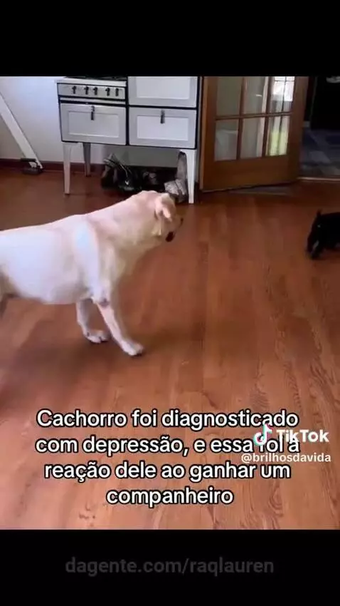 view, views by raqlauren