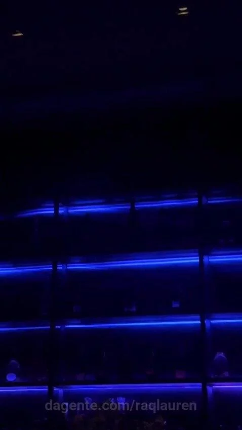 festa, musica, party by raqlauren