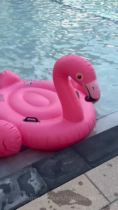 pool, piscina, sp by raqlauren