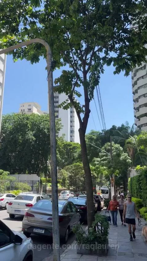 sp, saopaulo, vista by raqlauren