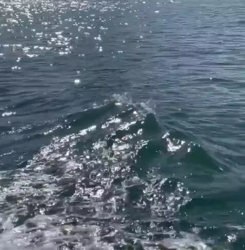 views, view, sp by vinilolima