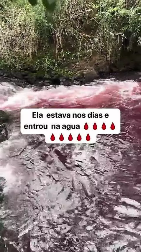 Video by vinilolima