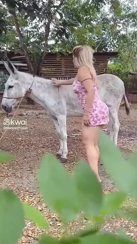 Video by vinilolima