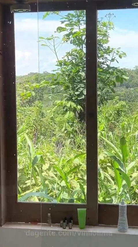 view, sp, saopaulo by vinilolima