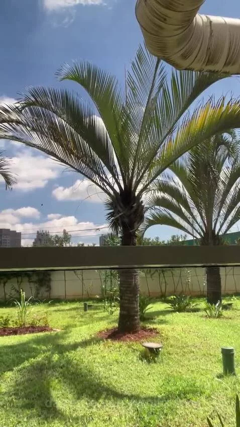 summer, natureza, sp by vinilolima