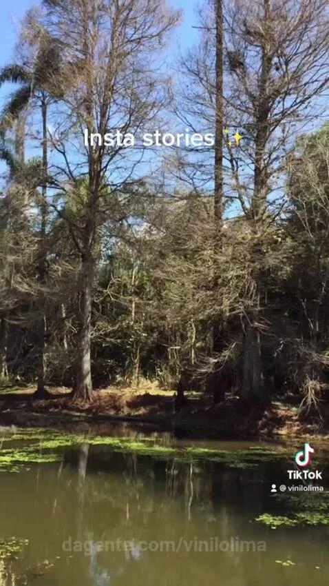 views, view, sp by vinilolima