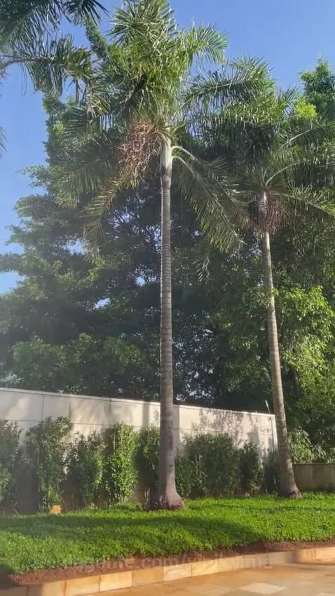 views, view, sp by vinilolima