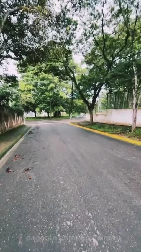 views, view, sp by vinilolima