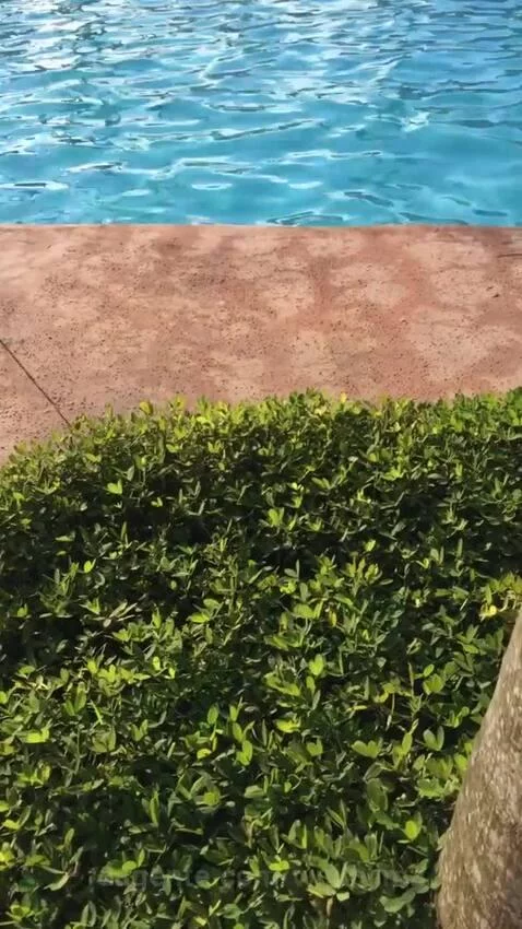 views, view, sp by vinilolima