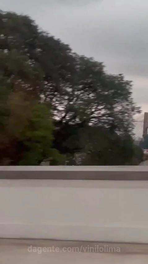voews, sp, saopaulo by vinilolima