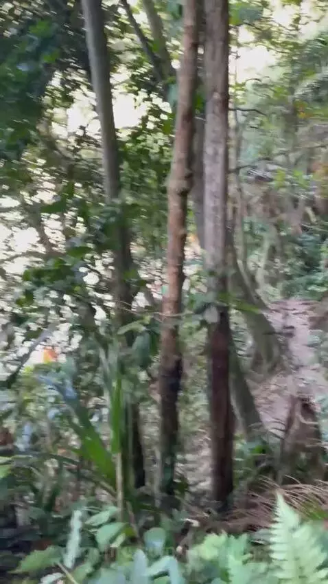 views, view, sp by vinilolima