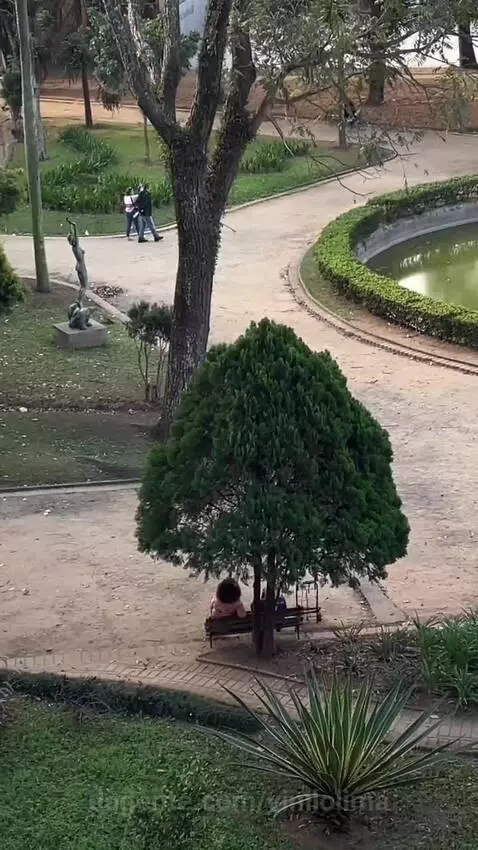 sp, saopaulo, views by vinilolima