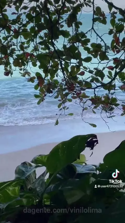 views, view, sp by vinilolima