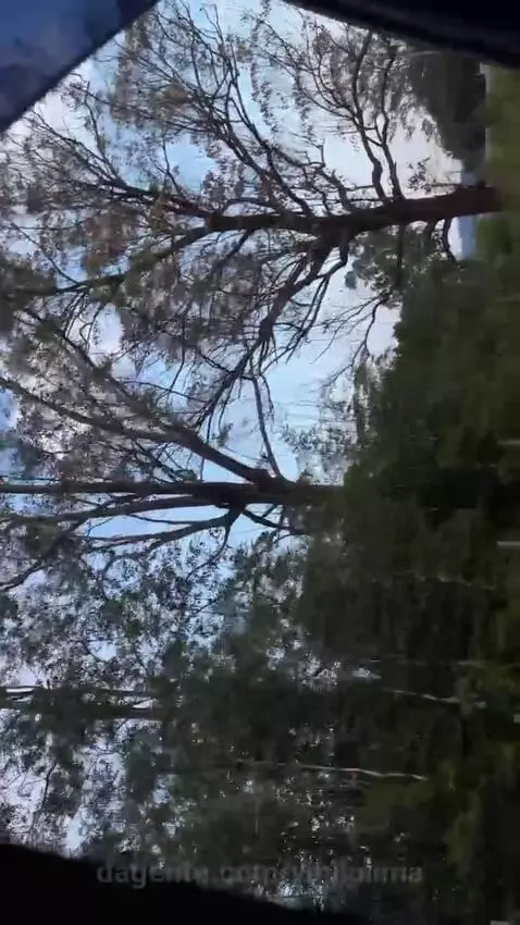 views, view, sp by vinilolima