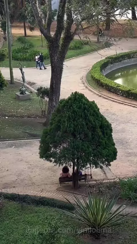 views, view, sp by vinilolima