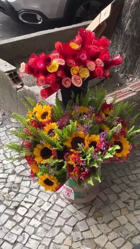 flores, flowers, views by vinilolima