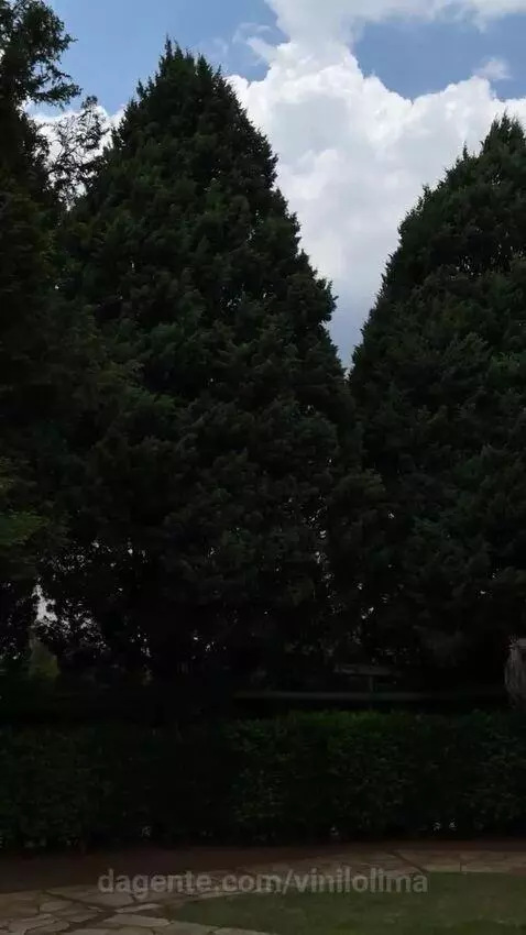 views, view, sp by vinilolima