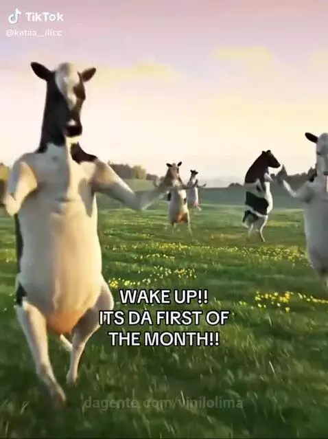 meme, fun, views by vinilolima