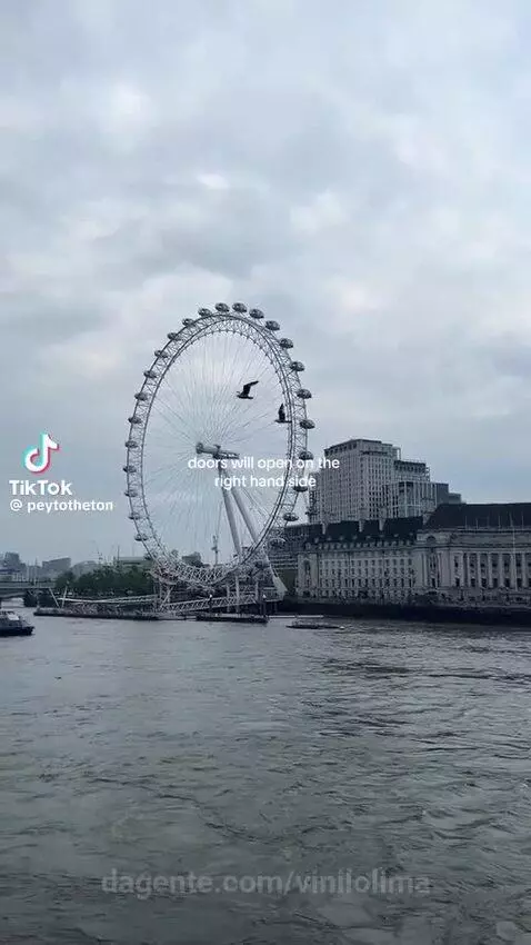 sp, meme, views by vinilolima