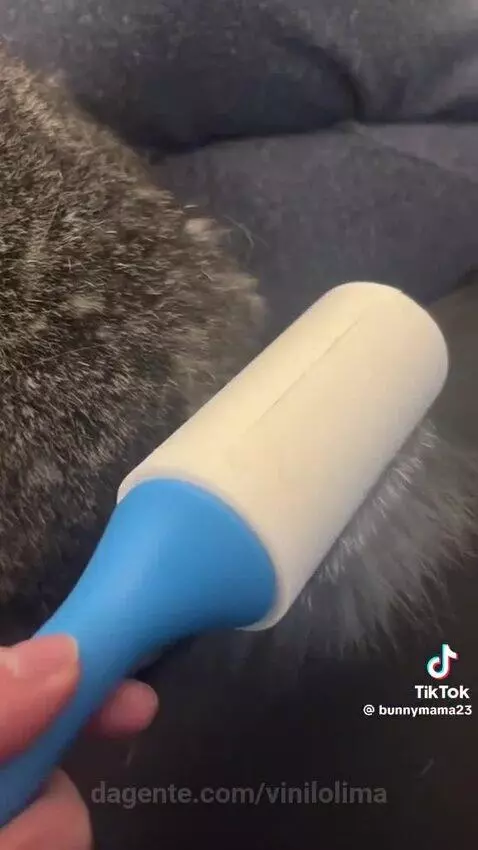 views, view, sp by vinilolima