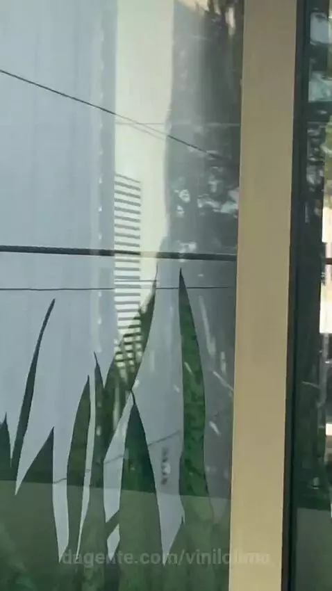 views, view, sp by vinilolima