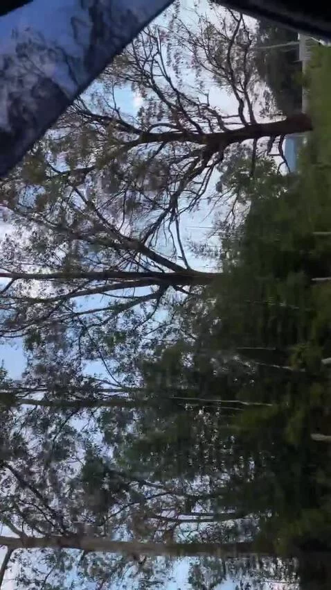 natureza, sp, saopaulo by vinilolima