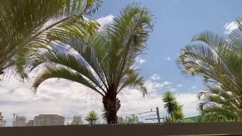 Natureza vibes by vinilolima