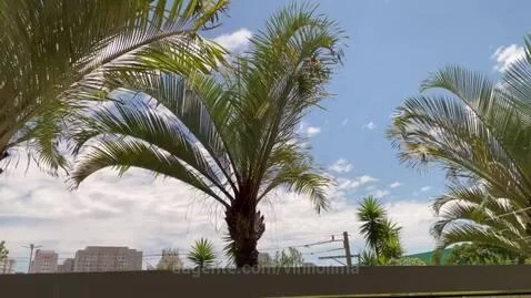 video poster