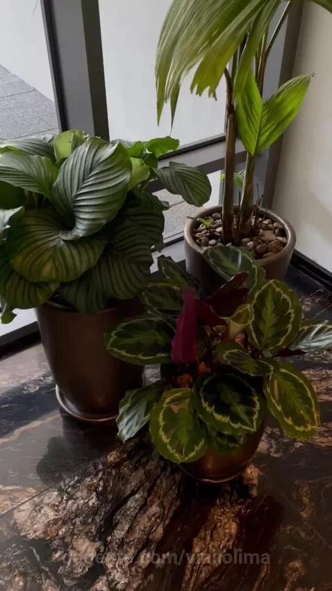 sp, saopaulo, views by vinilolima