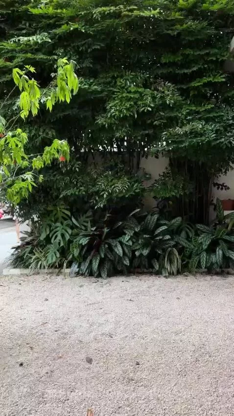 sp, saopaulo, views by vinilolima