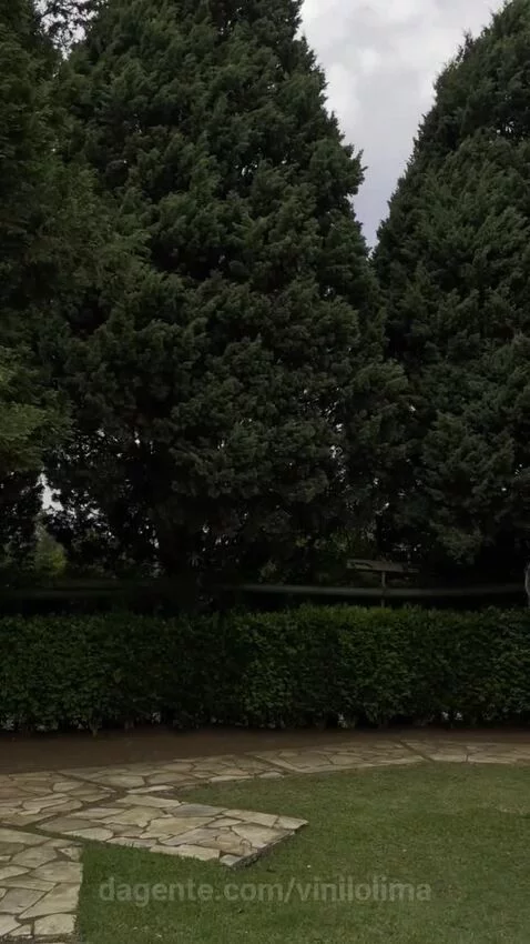 sp, saopaulo by vinilolima