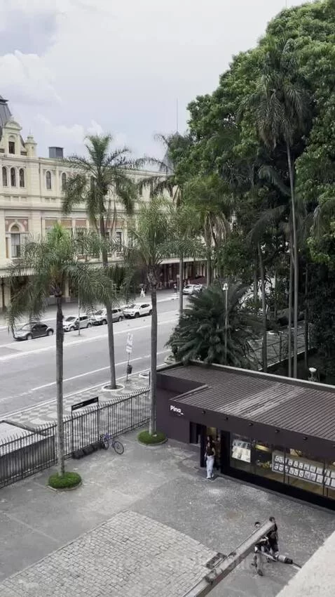 pinacoteca, sp, saopaulo by vinilolima