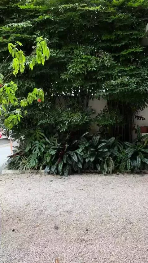 sp, saopaulo, views by vinilolima