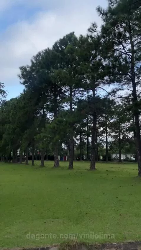 sp, saopaulo, views by vinilolima