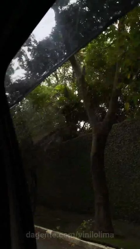 sp, saopaulo, views by vinilolima