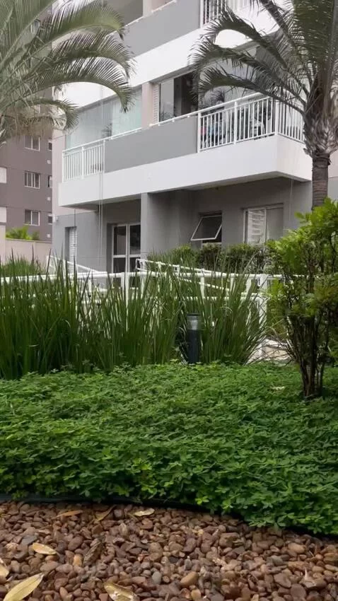 views, view, sp by vinilolima