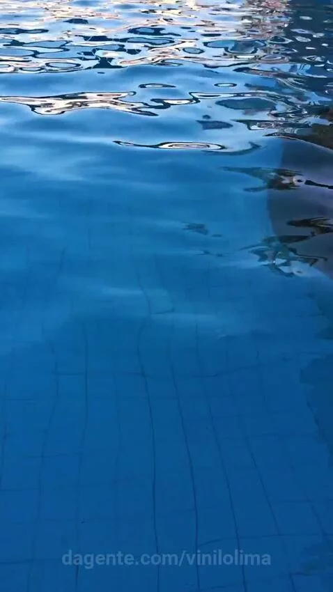 piscina, sp, saopaulo by vinilolima