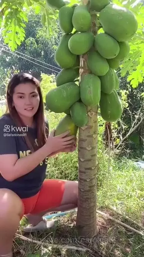 Video by carolcat2