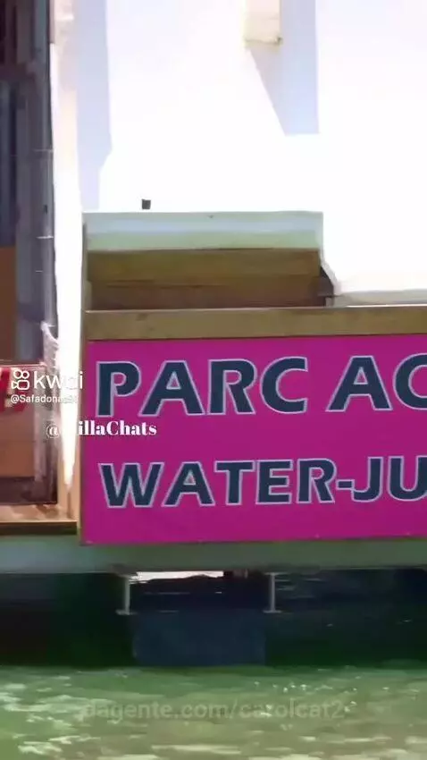 Prévia da publicação de carolcat2