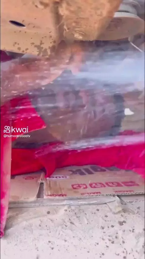 Video by carolcat2