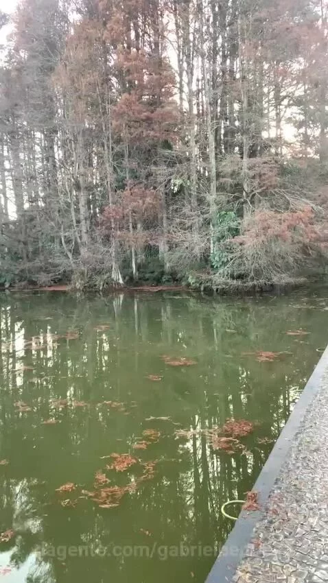 Video by gabrielhenricco