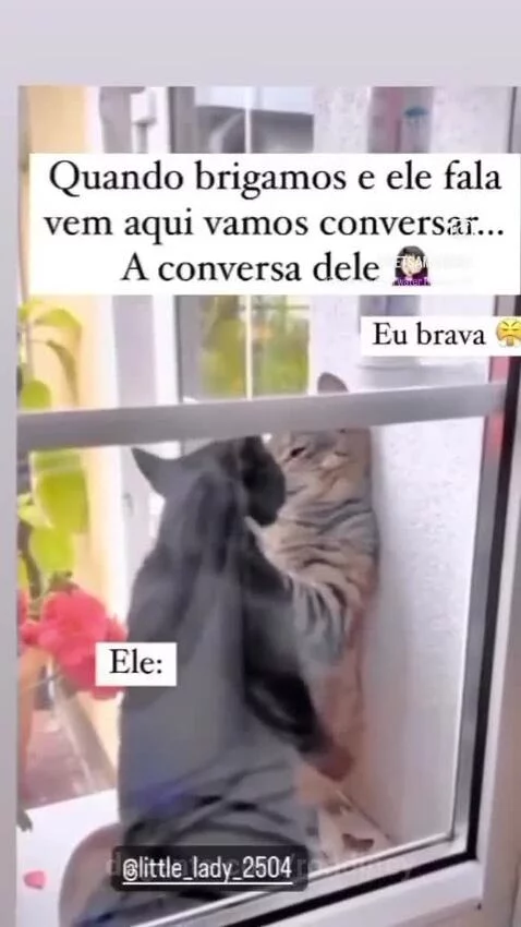 Prévia da publicação de rondiney