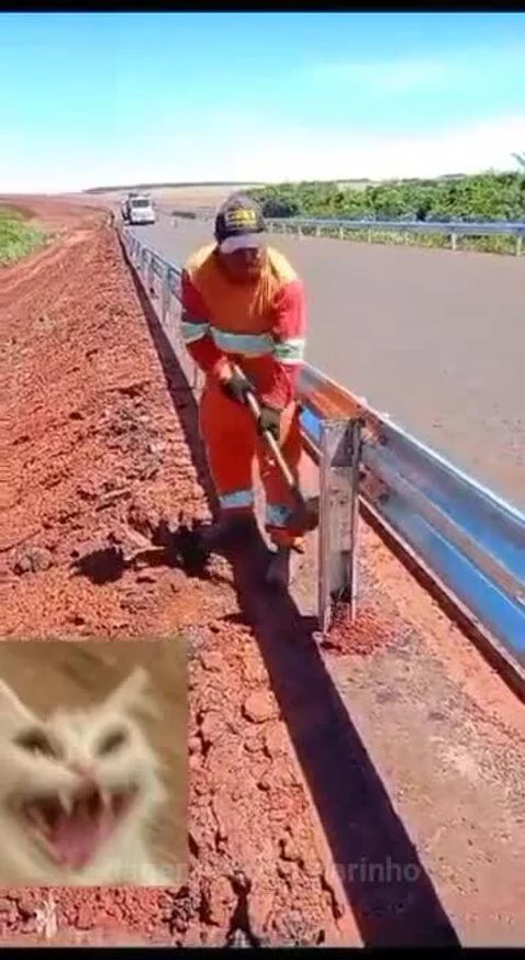 Pura que paril by marinho