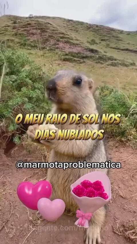 Te amo esposa by marinho