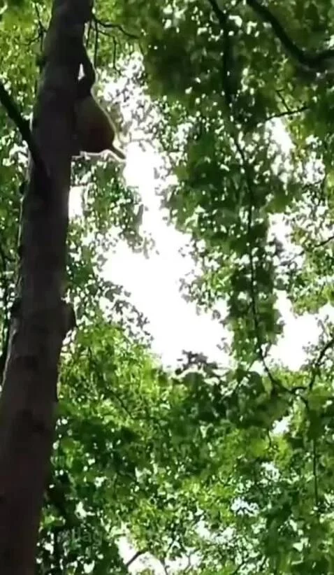 video poster