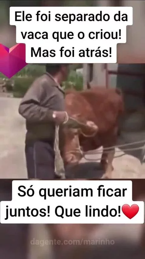Video by marinho